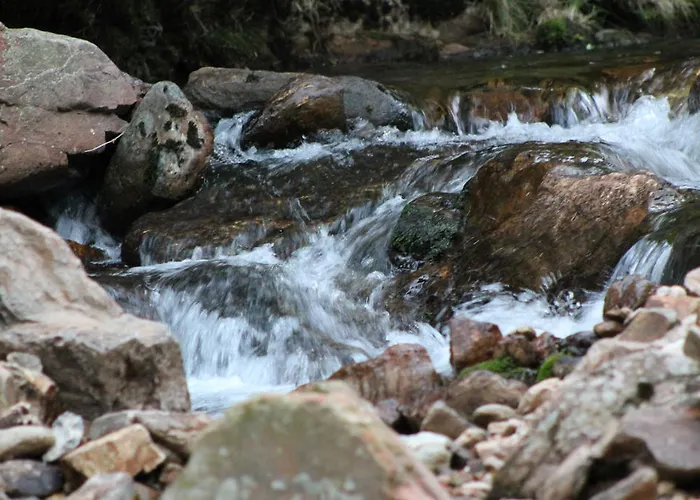 埃斯普利特酒店
